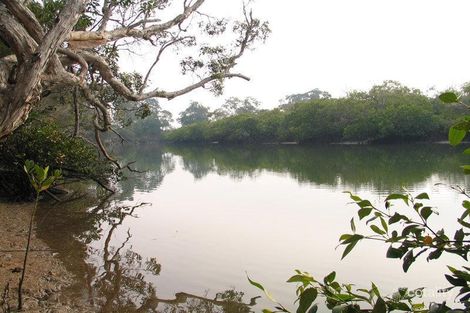 Property photo of 116 Davenport Drive Coonarr QLD 4670