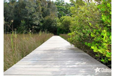 3 Tallawarra Ave, Padstow, NSW 2211