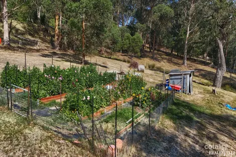 Property photo of 445 Maroondah Highway Healesville VIC 3777