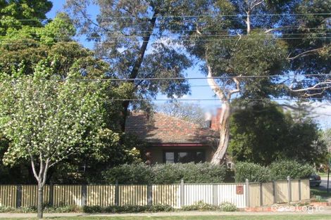 Property photo of 256 Middleborough Road Blackburn South VIC 3130