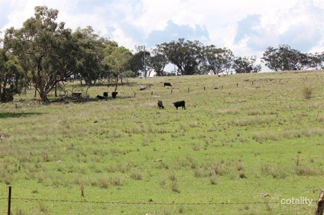 1605 Gamble Creek Rd, Binnaway, NSW 2395