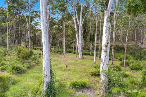 Property photo of 31 Tallais Close Worrigee NSW 2540