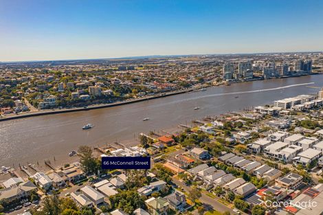 Property photo of 66 McConnell Street Bulimba QLD 4171