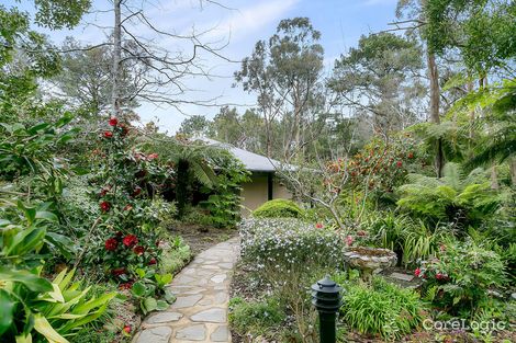 Property photo of 11 Linwood Avenue Aldgate SA 5154