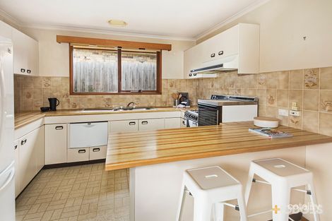 Property photo of 7 Austin Road Hampton VIC 3188