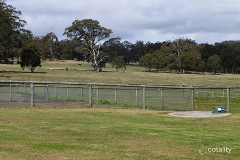 77 Joadja Cres, Woodlands, NSW 2575