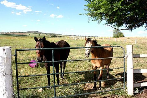 Property photo of 17341 New England Highway Allora QLD 4362