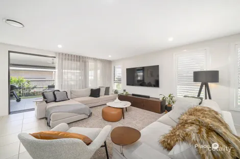 Property photo of 9 Preston Street Newport QLD 4020