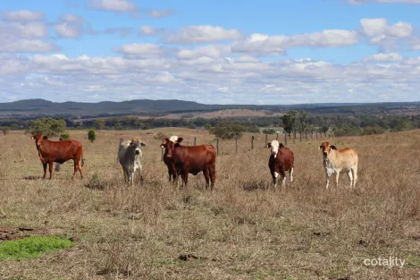 95 Monto Mount Perry Rd, Tellebang, QLD 4630