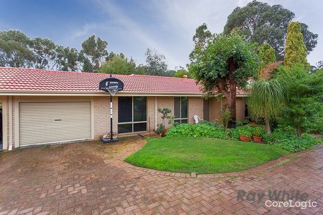 Property photo of 19B Buckingham Crescent Kardinya WA 6163