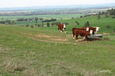 572 Lawarra Rd, Wattamondara, NSW 2794