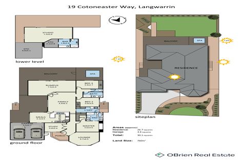 Property photo of 19 Cotoneaster Way Langwarrin VIC 3910