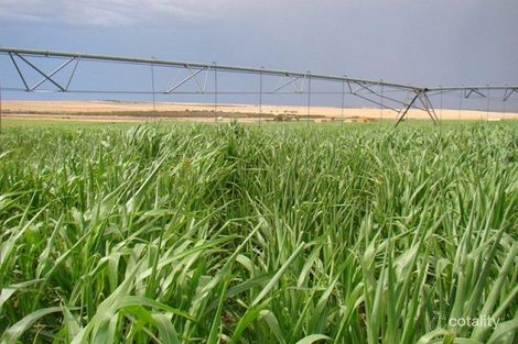 2951 Yandanooka West Rd, Mount Adams, WA 6525