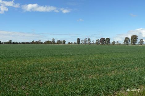 1135 Wunnamurra Rd, Jerilderie, NSW 2716