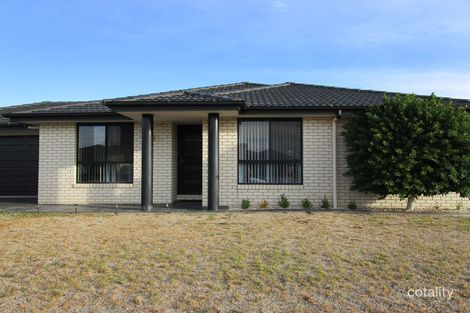 77 Mitchell St, Westdale, NSW 2340