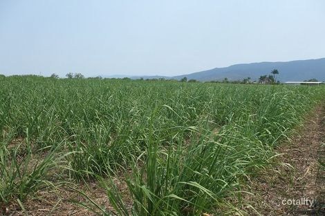 82 Maynard Rd, Bambaroo, QLD 4850