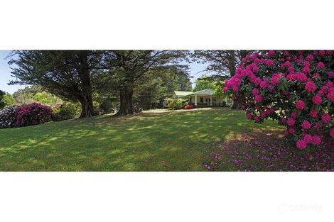 Property photo of 755 Myers Creek Road Toolangi VIC 3777