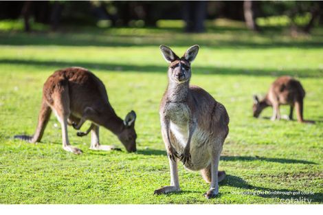 Property photo of 3/9 Acorn Place Dunsborough WA 6281