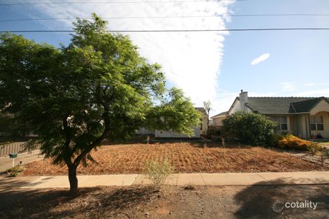 Property photo of 43 Albany Crescent Oaklands Park SA 5046