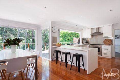 Property photo of 53 Lynbara Avenue St Ives NSW 2075