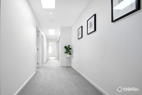 Property photo of 81A Mimosa Road Carnegie VIC 3163