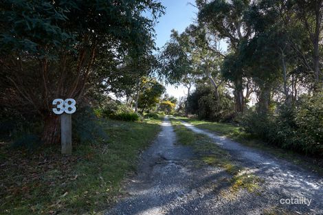 Property photo of 38 Holmes Court Bridport TAS 7262
