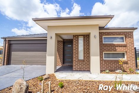 Property photo of 7 Calabrese Circuit Clyde North VIC 3978