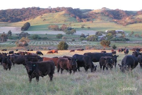 Property photo of 53 Compass Crescent Mount Compass SA 5210