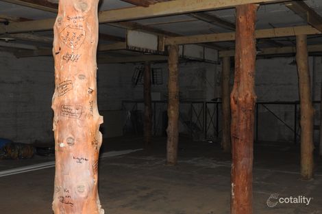 17 Columbus St, Ivanhoe, NSW 2878