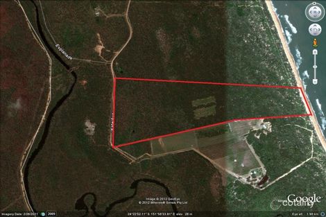 Property photo of 219 Kate Avenue Deepwater QLD 4674