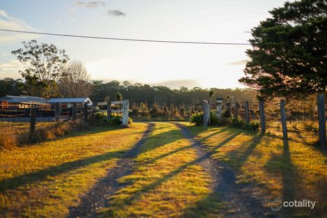 Property photo of 20 Lyrebird Road Pheasants Nest NSW 2574