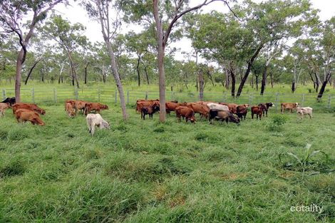 4182 Stuart Hwy, Edith, NT 0852