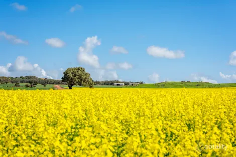 829 Nabawa-Northampton Rd, Hickety, WA 6532