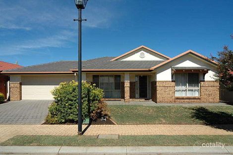 Property photo of 8 Ayers Court Morphettville SA 5043