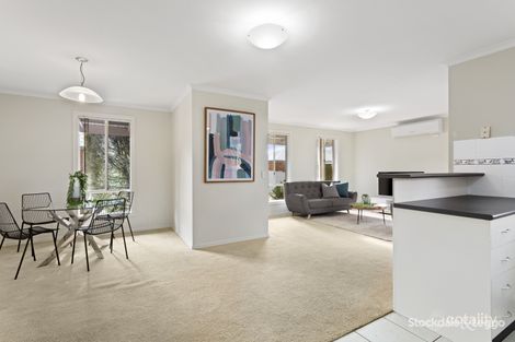Property photo of 5/46 Peter Street Grovedale VIC 3216
