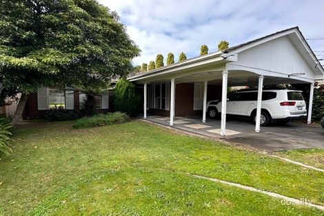 Property photo of 6 Gareth Avenue Beaumaris VIC 3193