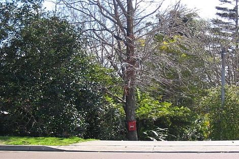 91 Main Rd, Cardiff Heights, NSW 2285