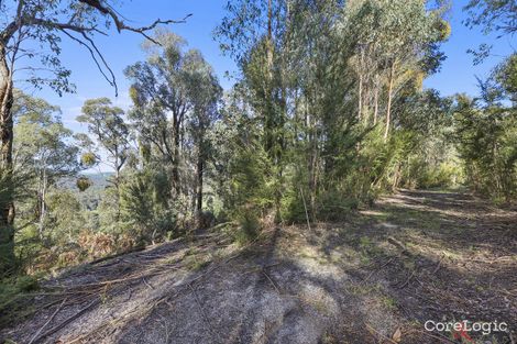 Property photo of 224 Ricardo Road Mirboo North VIC 3871