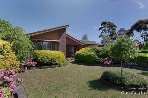 Property photo of 11 Carluke Close Berwick VIC 3806