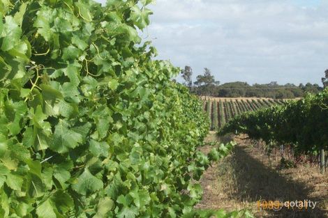 395 Wirring Rd, Cowaramup, WA 6284