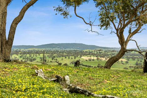 Property photo of 147 Racecourse Road Redesdale VIC 3444