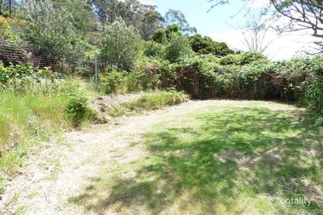 37 Allan St, Derby, TAS 7264