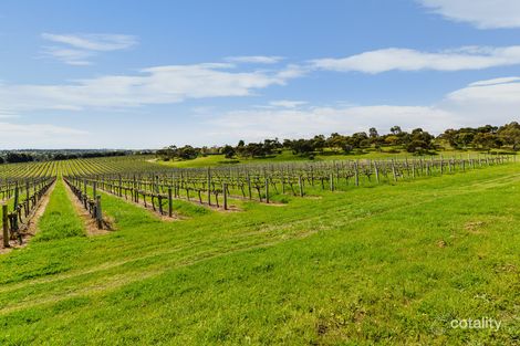 5 Roxy Ct, Old Reynella, SA 5161