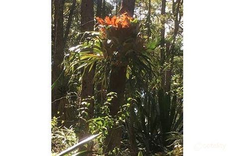 Property photo of 130 Hardgrave Road Benarkin North QLD 4314