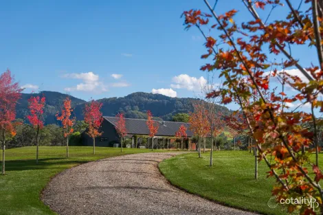 65d Glenmurray Rd, Kangaroo Valley, NSW 2577