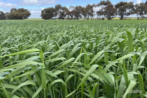 Lot 851 Shepherd Rd, Kwolyin, WA 6385