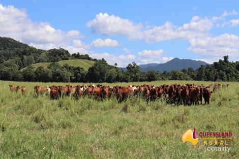 211 Warrakin Rd, Japoonvale, QLD 4856