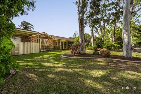 Property photo of 13 Cocos Palm Drive Bomaderry NSW 2541