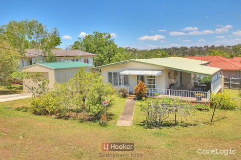 Property photo of 49 Everest Street Sunnybank QLD 4109