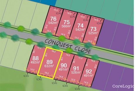 Property photo of LOT 89 Conquest Close Rutherford NSW 2320